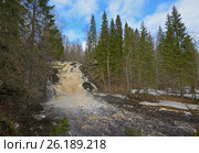 Водопад Белые мосты, Карелия. Стоковое фото, фотограф Сапрыгин Сергей / Фотобанк Лори