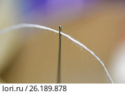 Threading a needle thread. Стоковое фото, фотограф Роман Клевцов / Фотобанк Лори