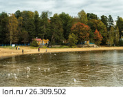 The coast of the Finnish Gulf of the Baltic sea in autumn (2016 год). Стоковое фото, фотограф Александр Белов / Фотобанк Лори