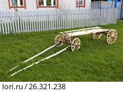 Ходок гужевой. Стоковое фото, фотограф Анатолий Матвейчук / Фотобанк Лори