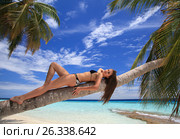 Beautiful young girl lies on a curved palm tree in a Maldivian resort. Стоковое фото, фотограф Evgenii Mitroshin / Фотобанк Лори