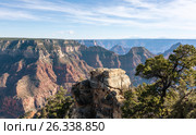 Beautiful Landscape of Grand Canyon from the orth rim (2016 год). Стоковое фото, фотограф Дмитрий Петраков / Фотобанк Лори