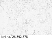 Текстура бетонной стены с трещинами. Стоковое фото, фотограф TasiPas / Фотобанк Лори