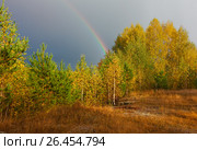Радуга над лесом. Осенний пейзаж. Стоковое фото, фотограф Ильин Сергей / Фотобанк Лори