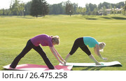 Senior fit women practicing yoga in the park. Стоковое видео, видеограф Швец Анастасия / Фотобанк Лори