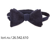Bow tie accessory mods. Стоковое фото, фотограф Артём Зайцев / Фотобанк Лори