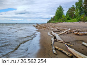 Побережье Обского водохранилища . Река Обь, Новосибирская область, Сибирь, Россия. Стоковое фото, фотограф Евгений Мухортов / Фотобанк Лори