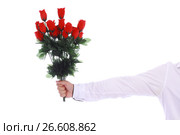 a bouquet of roses in a male hand on white. Стоковое фото, фотограф Tatjana Romanova / Фотобанк Лори