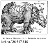 Носорог. Гравюра на дереве. 1515 год. Альбрехт Дюрер. Стоковая иллюстрация, иллюстратор Макаров Алексей / Фотобанк Лори