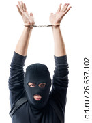 Dangerous offender in handcuffs, hands over head on a white background. Стоковое фото, фотограф Константин Лабунский / Фотобанк Лори