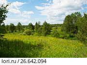 В пойме речки. Стоковое фото, фотограф Игорь Камаев / Фотобанк Лори