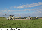 Российские ударные вертолеты Ми-24 (Ми-35) на аэродроме Кубинка Московской области готовятся к участию в репетиции пролета авиации на параде в честь Дня Победы (2017 год). Редакционное фото, фотограф Игорь Долгов / Фотобанк Лори