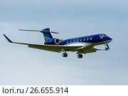 Gulfstream Aerospace G-VI Gulfstream G650 (бортовой 4K-AI88) авиакомпании Azerbaijan Airlines на посадке во Внукове (2017 год). Редакционное фото, фотограф Alexei Tavix / Фотобанк Лори