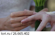 Exchanging of wedding rings. Стоковое видео, видеограф Roman Larchikov / Фотобанк Лори
