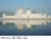 Ipatievsky monastery in morning fog (2016 год). Стоковое фото, фотограф ElenArt / Фотобанк Лори