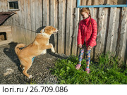 Девочка боится собаку на цепи. Стоковое фото, фотограф Светлана Попова / Фотобанк Лори