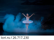 Диана Косырева в роли Одетты из балета "Лебединое озеро" в исполнении труппы Театра балета классической хореографии Элика Меликова на сцене РАМТа в городе Москве, Россия (2017 год). Редакционное фото, фотограф Николай Винокуров / Фотобанк Лори