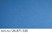 Рой комаров в воздухе на фоне синего неба / Swarm of mosquitoes in Mongolia flying on blue sky background (2017 год). Стоковое видео, видеограф Сергей Пристяжнюк (Serg Zastavkin) / Фотобанк Лори