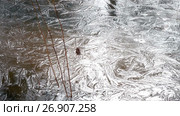 Close up ice with patterns in sunny day. Стоковое видео, видеограф Куликов Константин / Фотобанк Лори