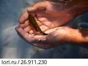 fish in his hands 2. Стоковое фото, фотограф Седых Алена / Фотобанк Лори