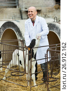 Positive senior vet taking care of newborn calf. Стоковое фото, фотограф Яков Филимонов / Фотобанк Лори