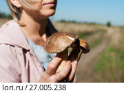 Женщина-грибник держит в руках два белых гриба. Стоковое фото, фотограф Игорь Низов / Фотобанк Лори