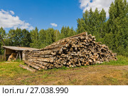 Бревна и дрова. Сельский пейзаж (2017 год). Стоковое фото, фотограф Макаров Алексей / Фотобанк Лори