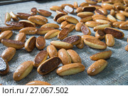 Production line of baking cookies on factory, food industry, closeup. Стоковое фото, фотограф Сергей Дорошенко / Фотобанк Лори