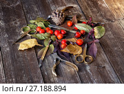 Manicure tools among the yellow leaves. Стоковое фото, фотограф Юрий Шурчков / Фотобанк Лори