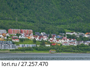 Tromso is city and municipality in Troms county, Norway. Area on slope of mountain (2016 год). Стоковое фото, фотограф Валерия Попова / Фотобанк Лори