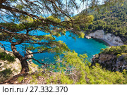 Summer big pine tree beach above summer calm bay (2017 год). Стоковое фото, фотограф Юрий Брыкайло / Фотобанк Лори
