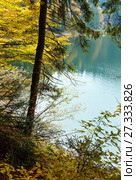Lake Synevyr autumn view. Стоковое фото, фотограф Юрий Брыкайло / Фотобанк Лори