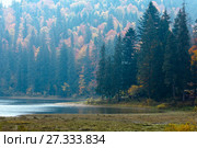 Lake Synevyr autumn view. Стоковое фото, фотограф Юрий Брыкайло / Фотобанк Лори