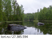 Село Васильево. Река Вуокса в районе Тиверского городка (2017 год). Стоковое фото, фотограф Дмитрий Щукин / Фотобанк Лори