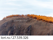 Россия. Якутия. Оймякон. Поселок Томтор. (2015 год). Стоковое фото, фотограф Токарева Ирина / Фотобанк Лори