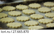 Shortbread on the tray. Стоковое видео, видеограф Roman Larchikov / Фотобанк Лори
