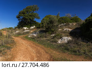 portugal algarve 20102015 nature travel. Стоковое фото, фотограф Peter Engelke / PantherMedia / Фотобанк Лори
