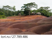 Национальный парк близ деревни Шамарель (Chamarel), Маврикий (2016 год). Стоковое фото, фотограф Вадим Хомяков / Фотобанк Лори