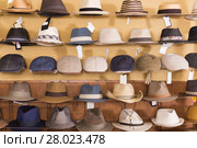 trilby and panama hats hanging on the shelf in the shopping store. Стоковое фото, фотограф Яков Филимонов / Фотобанк Лори