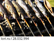 Trout on grill ( Trout festival, Tapolca ) , Hungary. Стоковое фото, фотограф Gábor Páll / PantherMedia / Фотобанк Лори