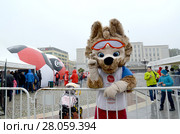 Талисман чемпионата мира по футболу FIFA 2018 волчонок Забивака передает привет. Калининград (2017 год). Редакционное фото, фотограф Ирина Борсученко / Фотобанк Лори
