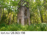 Разрушенная водонапорная башня (1914). Усадьба Заветное. Новгородская область (2017 год). Стоковое фото, фотограф Pukhov K / Фотобанк Лори