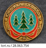 Значок металлический "Юный лесовод" (2018 год). Редакционное фото, фотограф Максим Гулячик / Фотобанк Лори