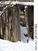Старый деревянный сарай. Стоковое фото, фотограф Марина Володько / Фотобанк Лори