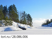 Россия, Ладожское озеро, залив Муролахти (Кочерга) зимой. Стоковое фото, фотограф Овчинникова Ирина / Фотобанк Лори
