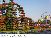 Парк цветов в Дубае (Dubai Miracle Garden). Объединённые Арабские Эмираты (2014 год). Редакционное фото, фотограф Сергей Афанасьев / Фотобанк Лори