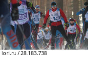 KAZAN, RUSSIA - March, 2018: Men skiers running ski marathon, big group at the start of the race. Редакционное видео, видеограф Константин Шишкин / Фотобанк Лори