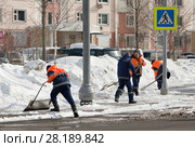 Рабочие гастарбайтеры весной в солнечный ясный день лопатами убирают старый снег с улиц Москвы (2018 год). Редакционное фото, фотограф Наталья Николаева / Фотобанк Лори