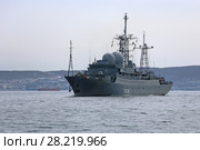 Средний разведывательный корабль проекта 864 ССВ-208 «Курилы» в бухте Золотой Рог весной. Владивосток (2018 год). Редакционное фото, фотограф Алексей Гусев / Фотобанк Лори