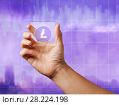 On a glass digital screen, the lithcoin icon on an ultraviolet background. Стоковое фото, фотограф Ярослав Данильченко / Фотобанк Лори